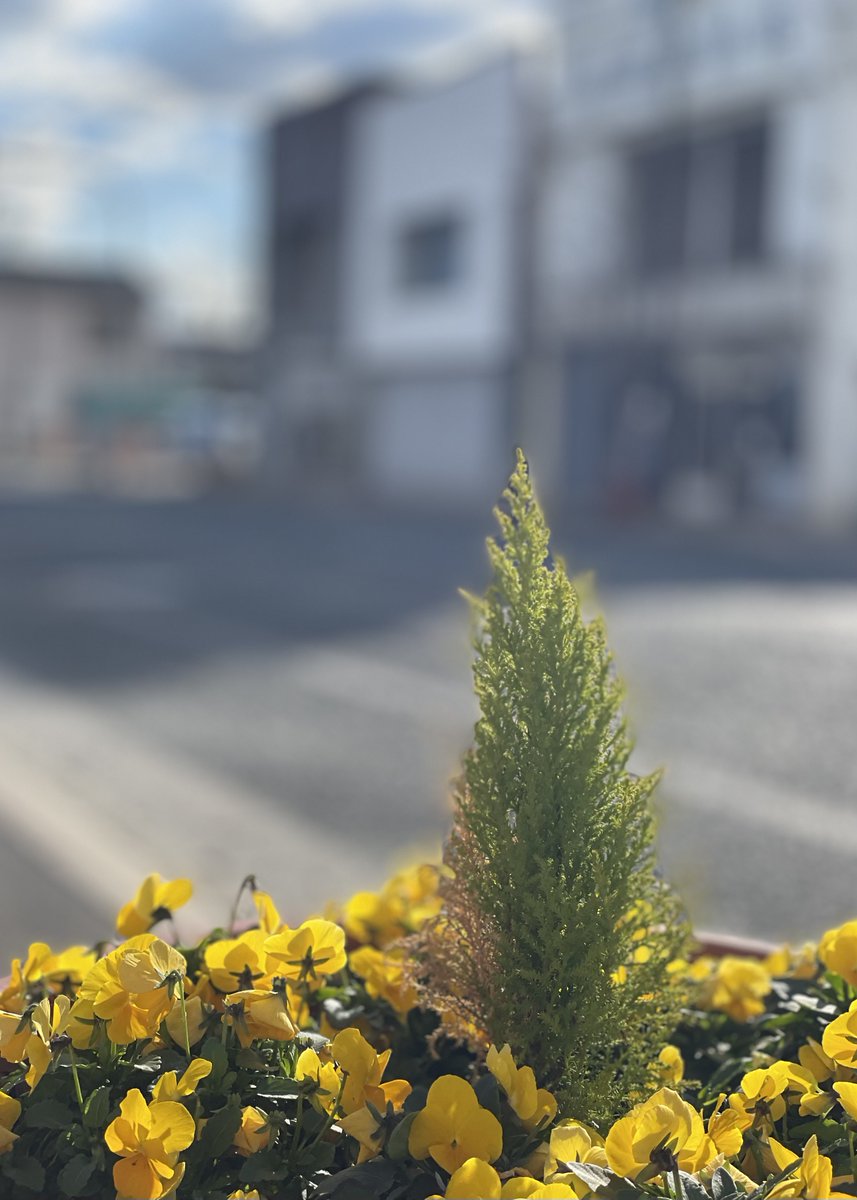 msmCh_108's tweet image. #HelloWorld #foryou