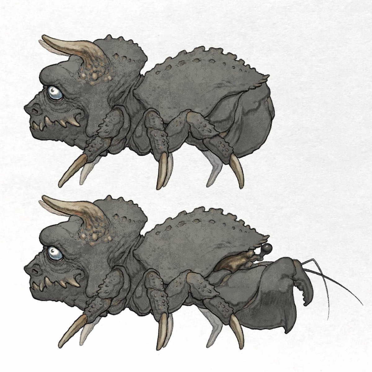 nao70shark tweet media