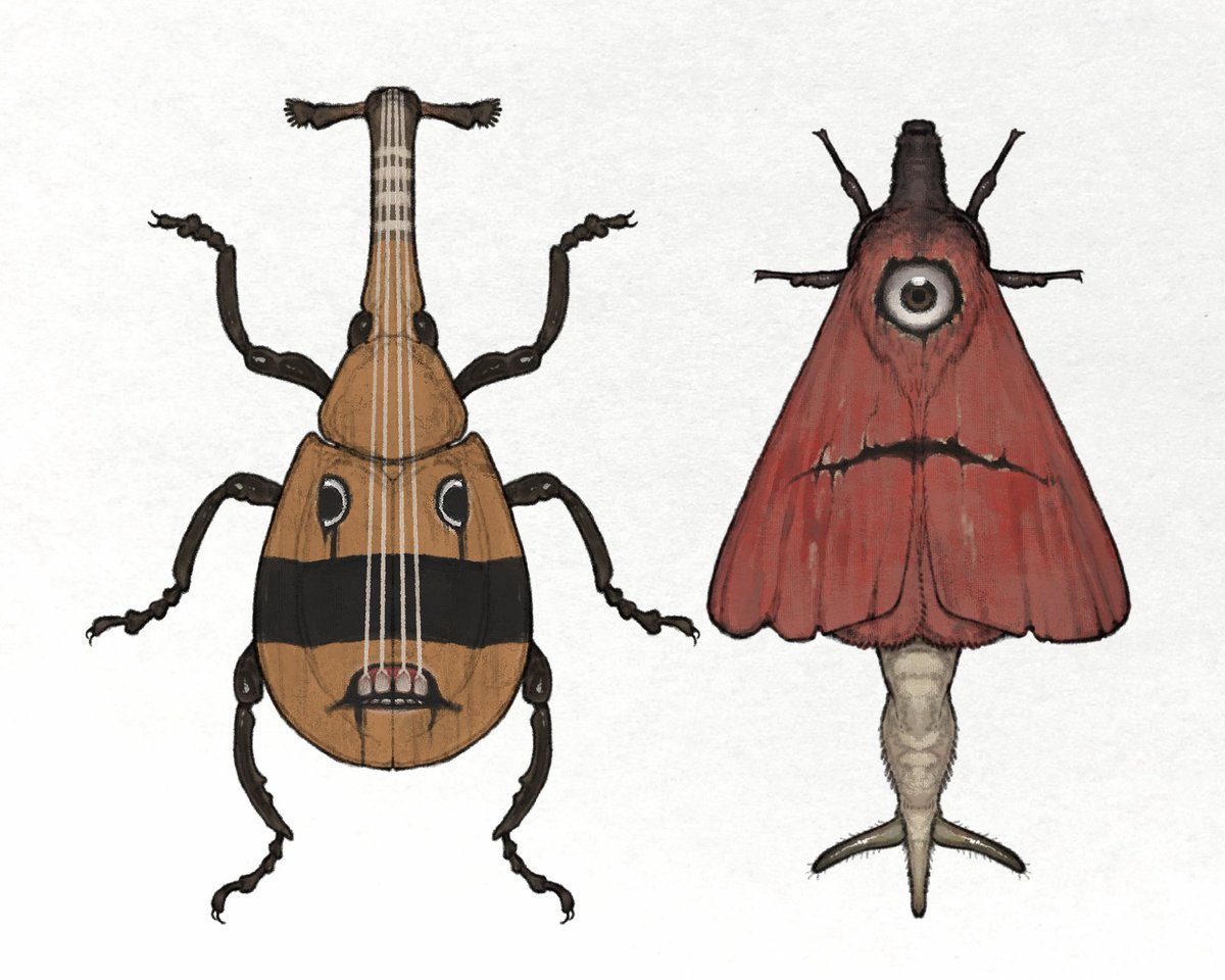 nao70shark tweet media