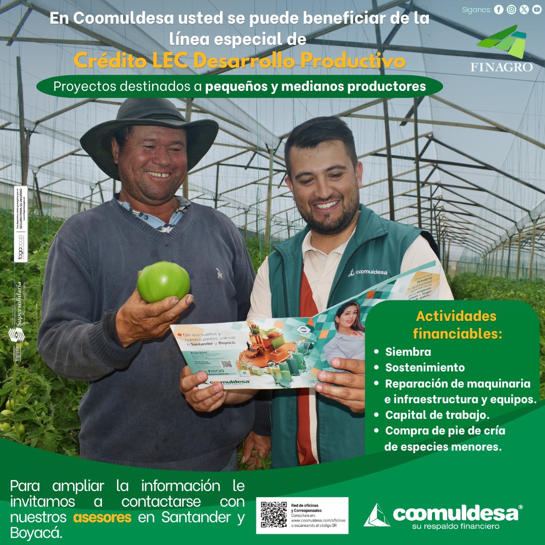 Coomuldesa tweet media