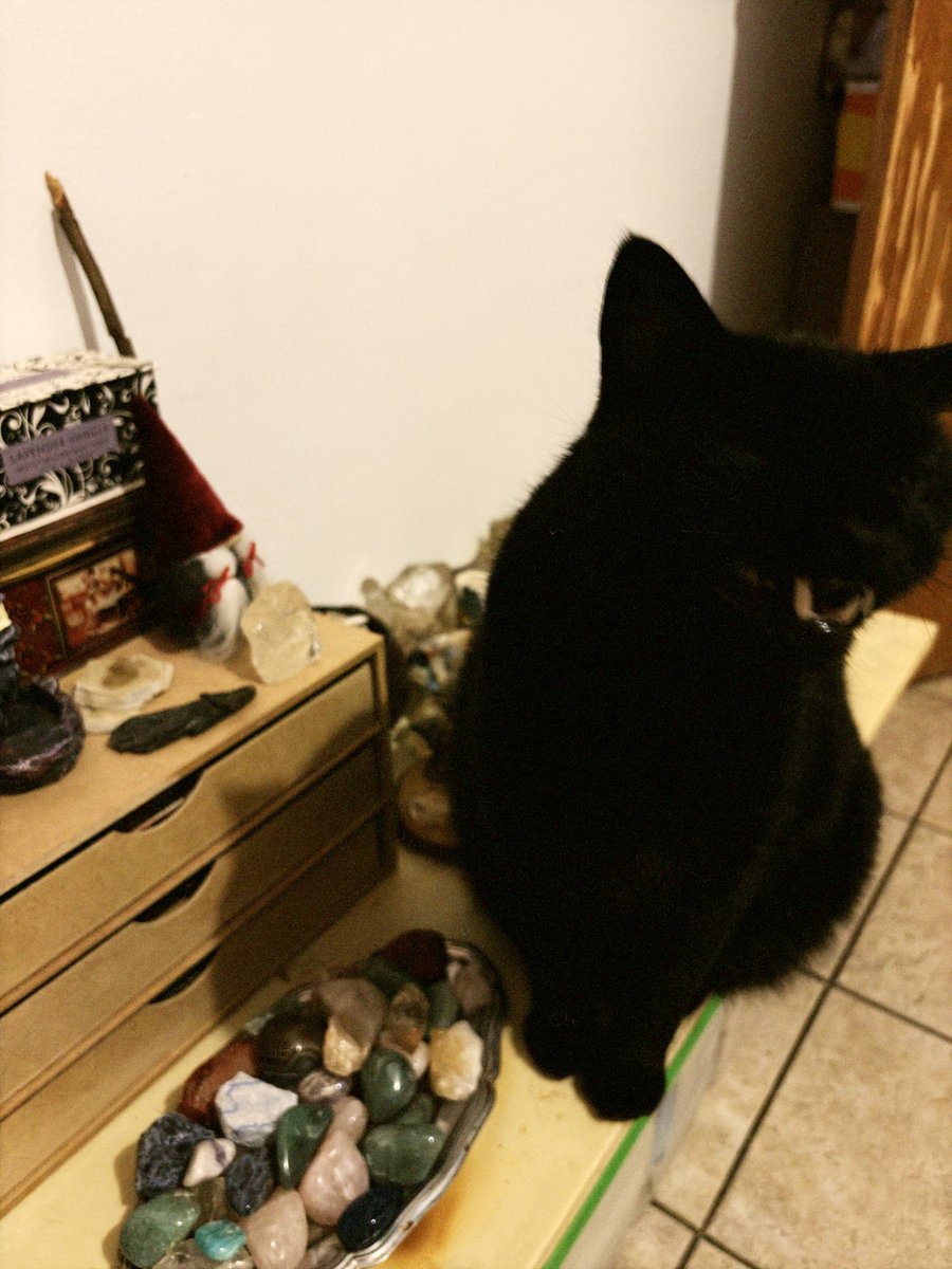 angel ✦ tweet media