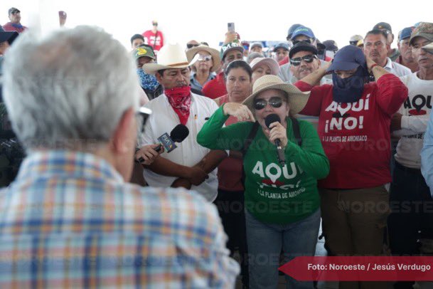 LuisCardenasMX tweet media