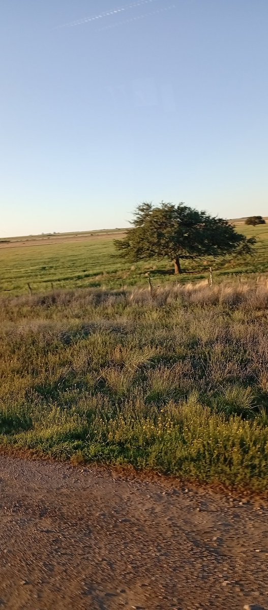 GabriGron's tweet photo. La Pampa tiene .. https://t.co/H0xXIIt0IJ