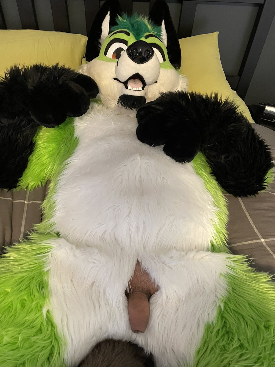 DragoonAD 🔜 FWA, AC tweet media