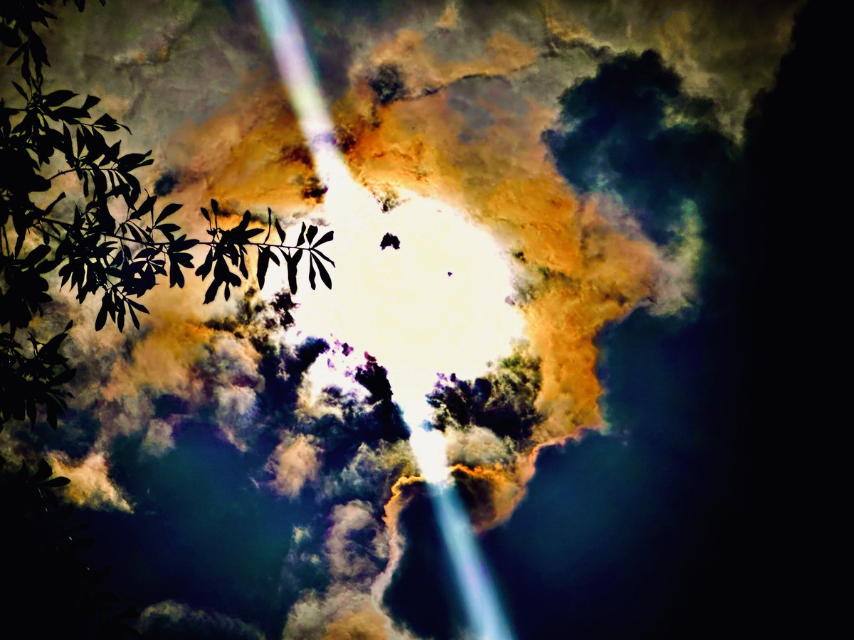 Karen Cochran tweet media