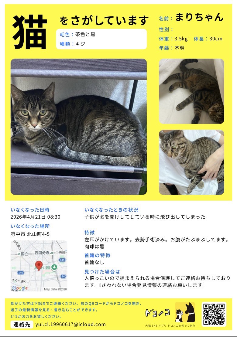 とうが&たまき&くろのすけ tweet media