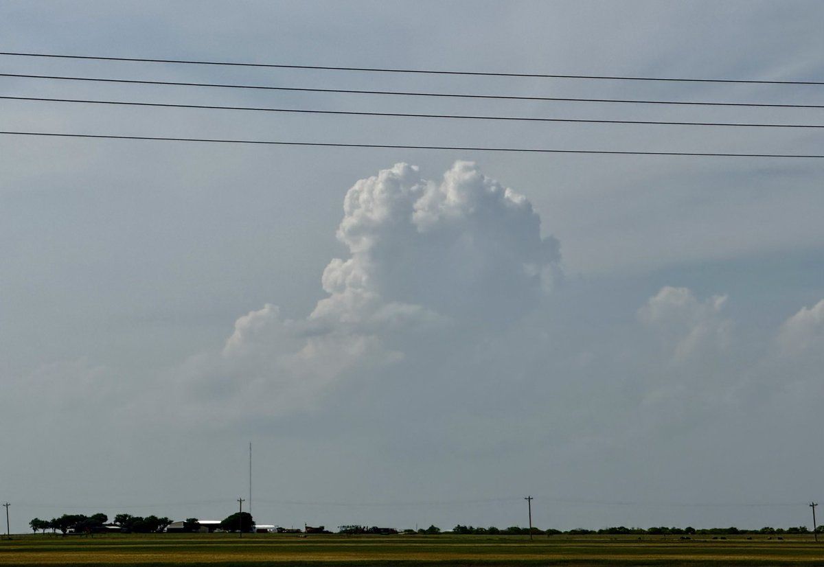 Rabbit_Is_Good_Rabbit_Is_Wise tweet media