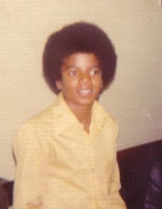 daily bambichael tweet media