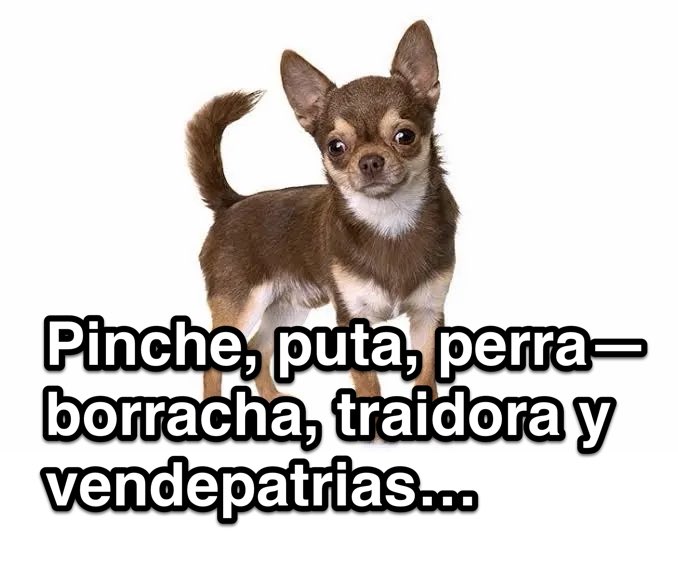 <a href="/ElFranky_/">El Franky </a> <a href="/siriasaldana/">Silvia #FantasmaComunista</a>