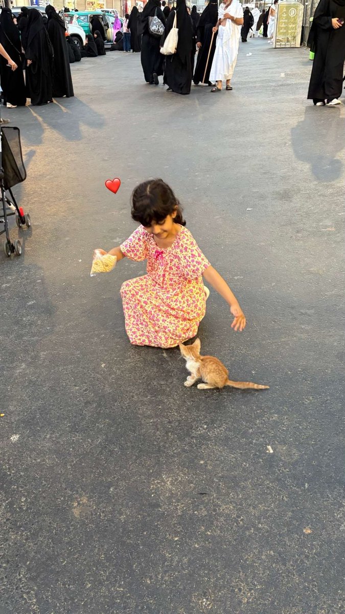 thisismeXR's tweet photo. عشو��ئيات العمره 🧡🩷
كل مره بعد كل عمره لاازم ايسكريم 😋🩷🧡 https://t.co/GRWv0jYhwG