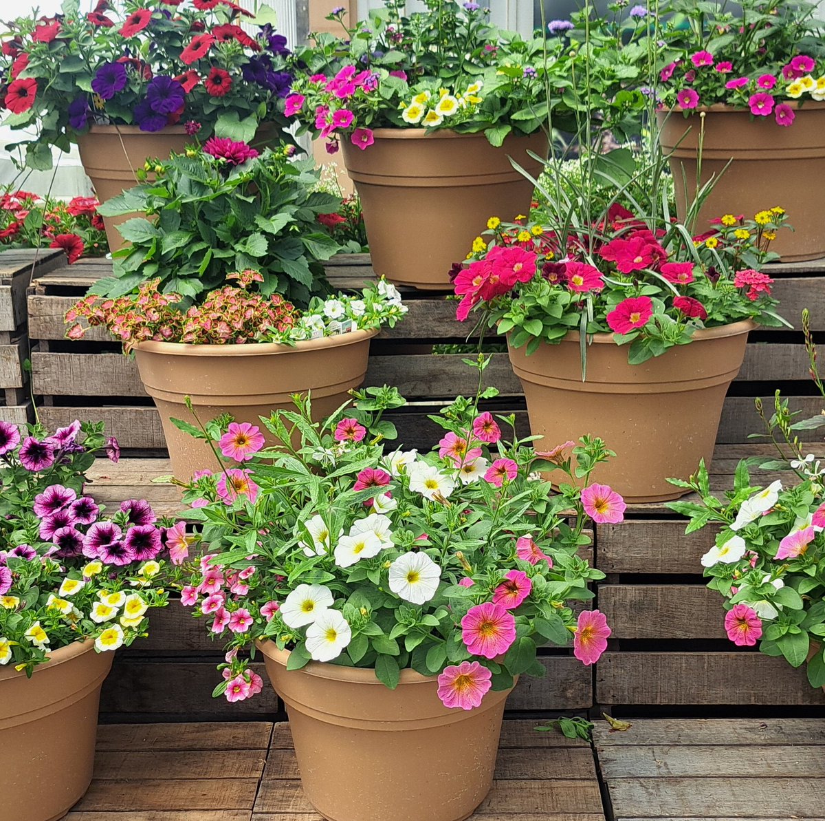 AnneSchlegel1's tweet image. Black &amp;amp; blue smoothie (blackberry, blueberry, banana):  Refreshing, easy treat after a full day of shopping for ingredients!  Saw a lot of beautiful flowers too!  Wishing everyone a great day and evening!  #delicious #homemade
#spring