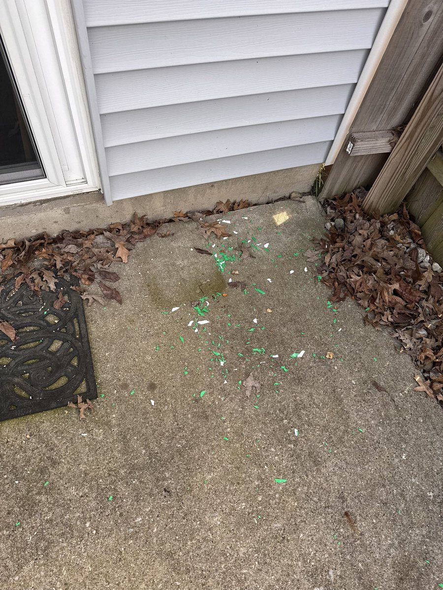 Kev 🪸 tweet media