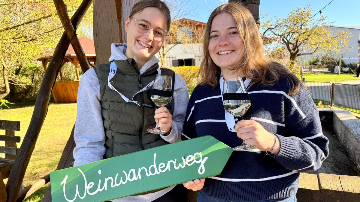 Genuss ohne Startschuss: Erste Weinwanderung in Jessen: Winzer laden zur 6,4‑Kilometer‑Tour ein mz.de/lokal/jessen/e…