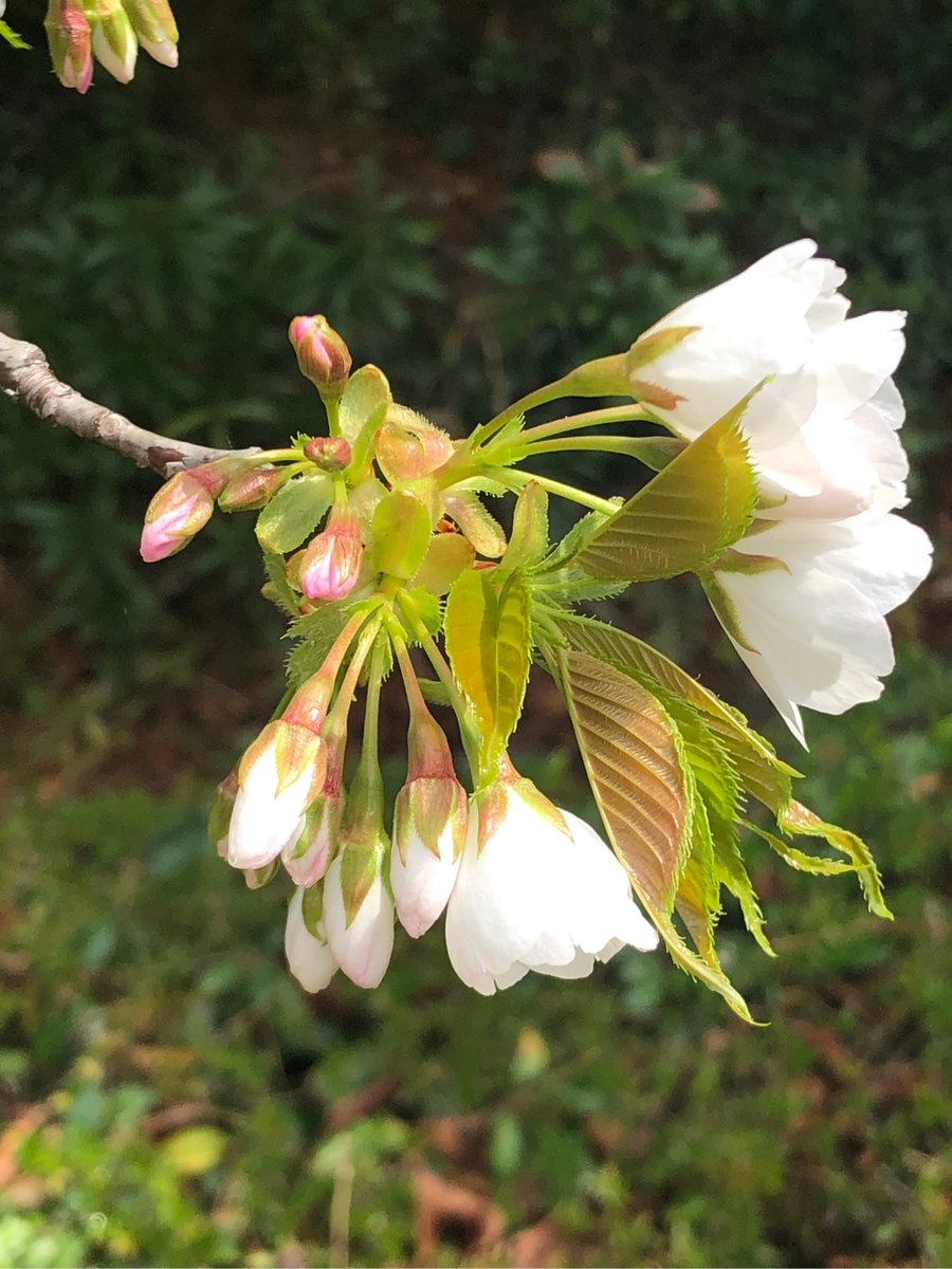 Alek Sander tweet media