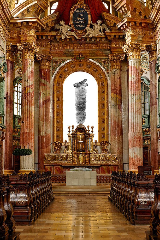 Catholic Conclave tweet media