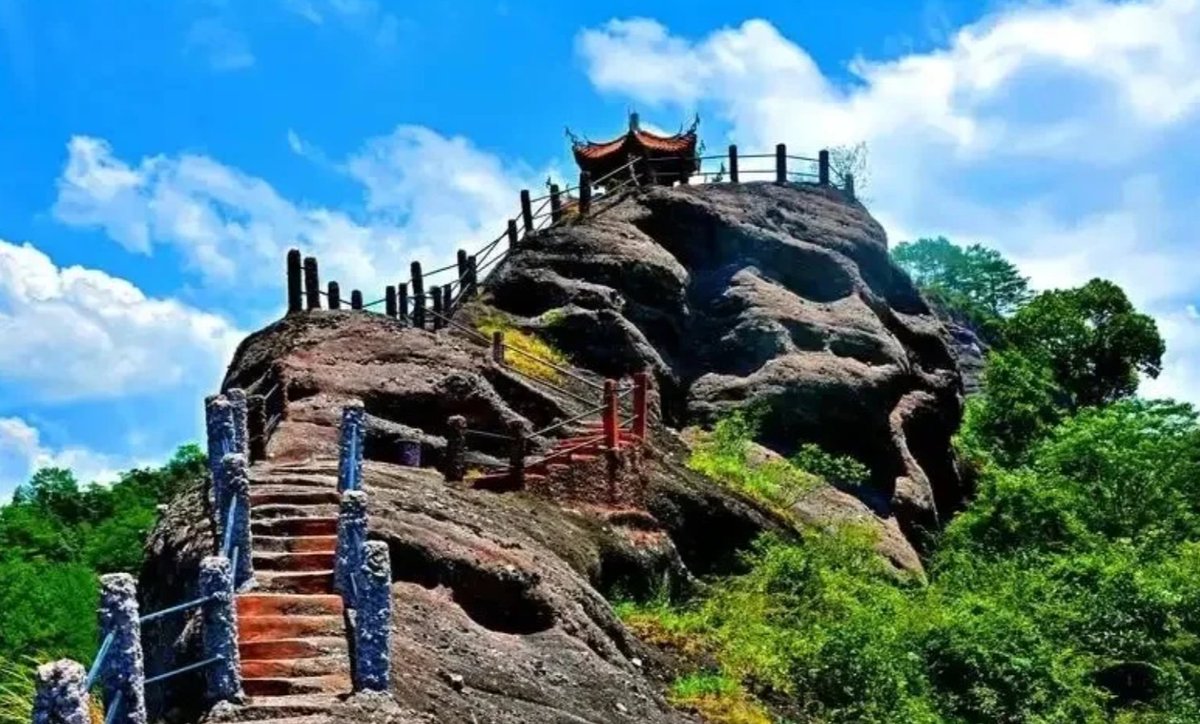 Victoria Hatton tweet media