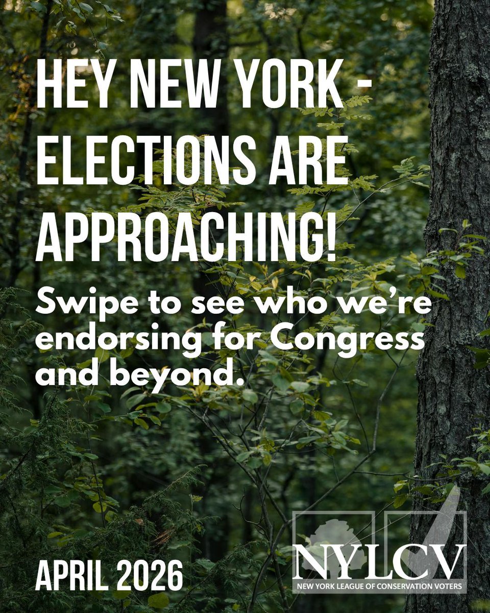 NYLCV tweet media