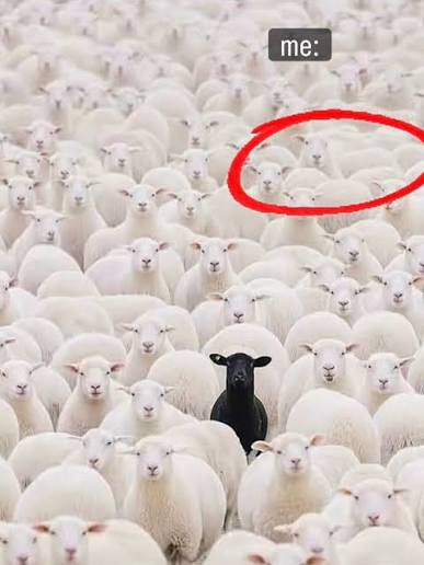 enthusiast 🏴‍☠️ ꒰✘❀L ྀིྀིྀིྀིྀི🐻 tweet media