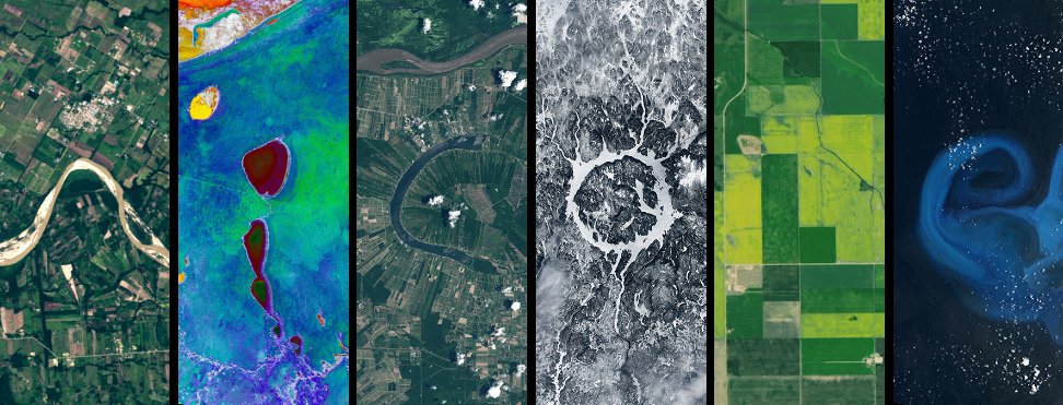 Nicole 🌻🍉 tweet media