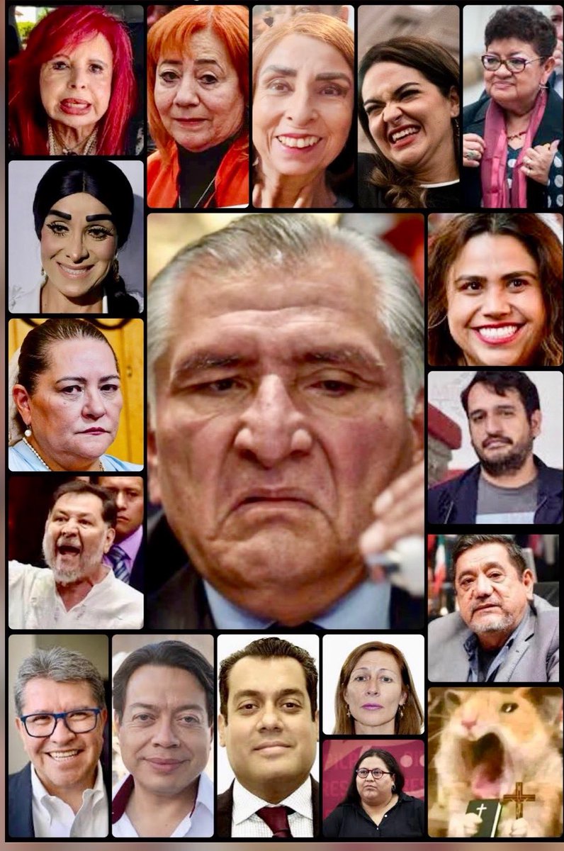 RULOO O. tweet media