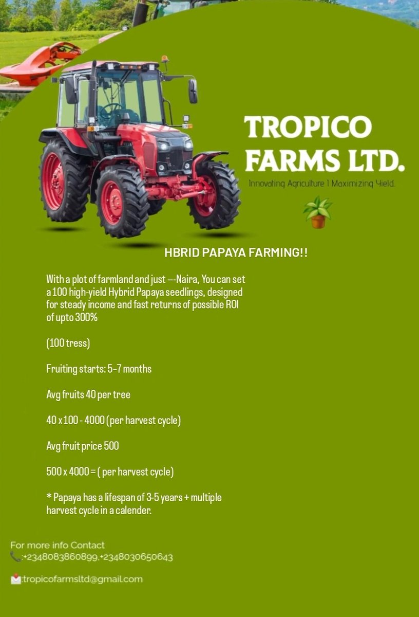 Tropico_Farms's tweet image. Contact us today and discover the bounty in exotic farming. We offer premium options including Hybrid Jumbo Guava, Cavendish Banana, Dwarf Coconut, and more. carefully selected for high yield, market demand, and profitability. #arewa #tinubu #Farming #Farmbusiness #profit #Roi