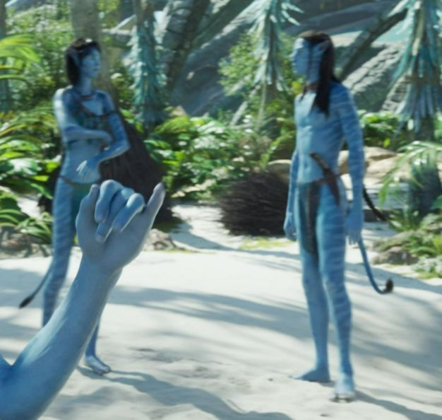 don't tell me they didn't know what lo'ak was about to do