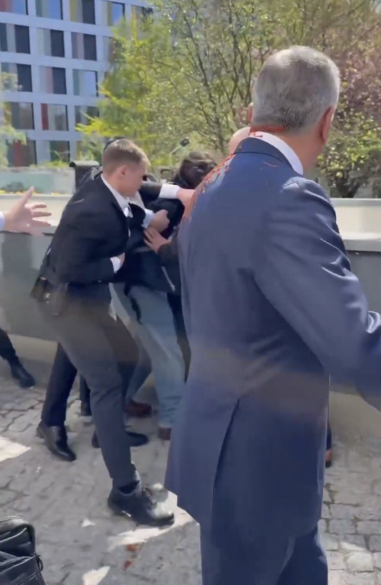 Sheler Haghanifar | شلر حقانی‌فر tweet media