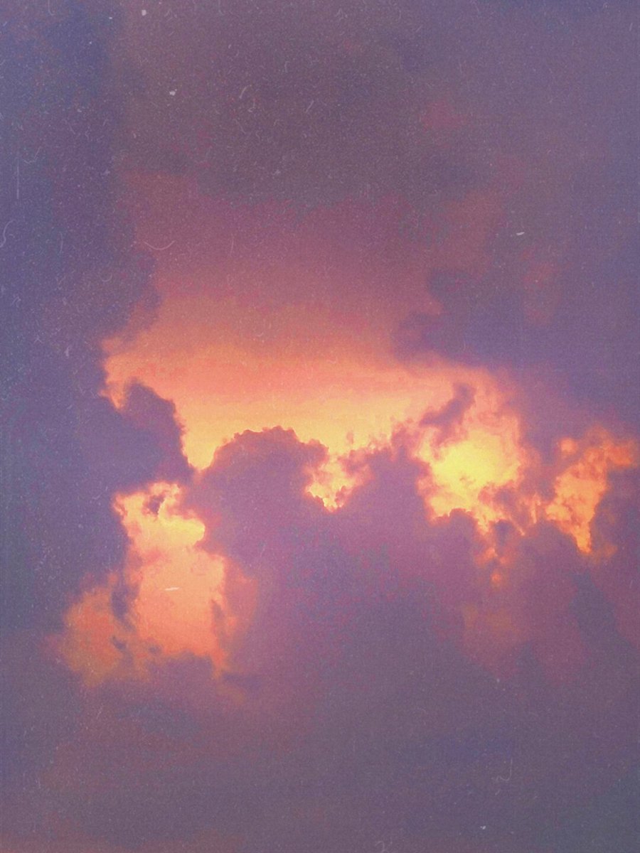 Вероника tweet media