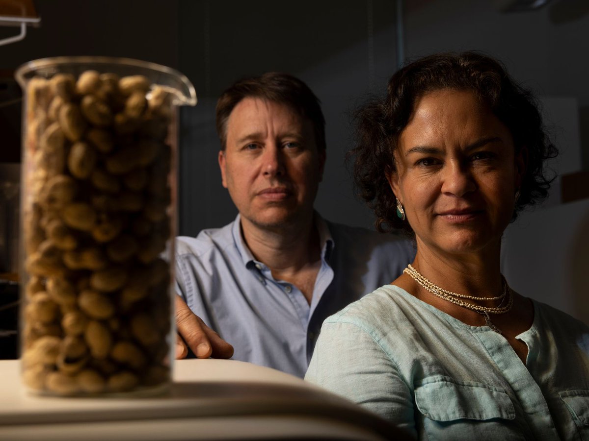 UGA Agricultural & Environmental Sciences tweet media