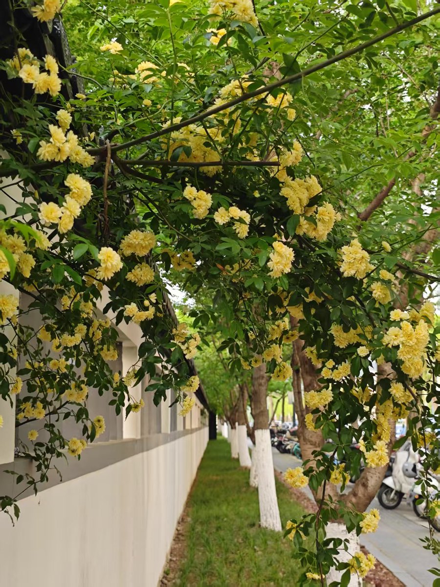 Jade Seibert tweet media