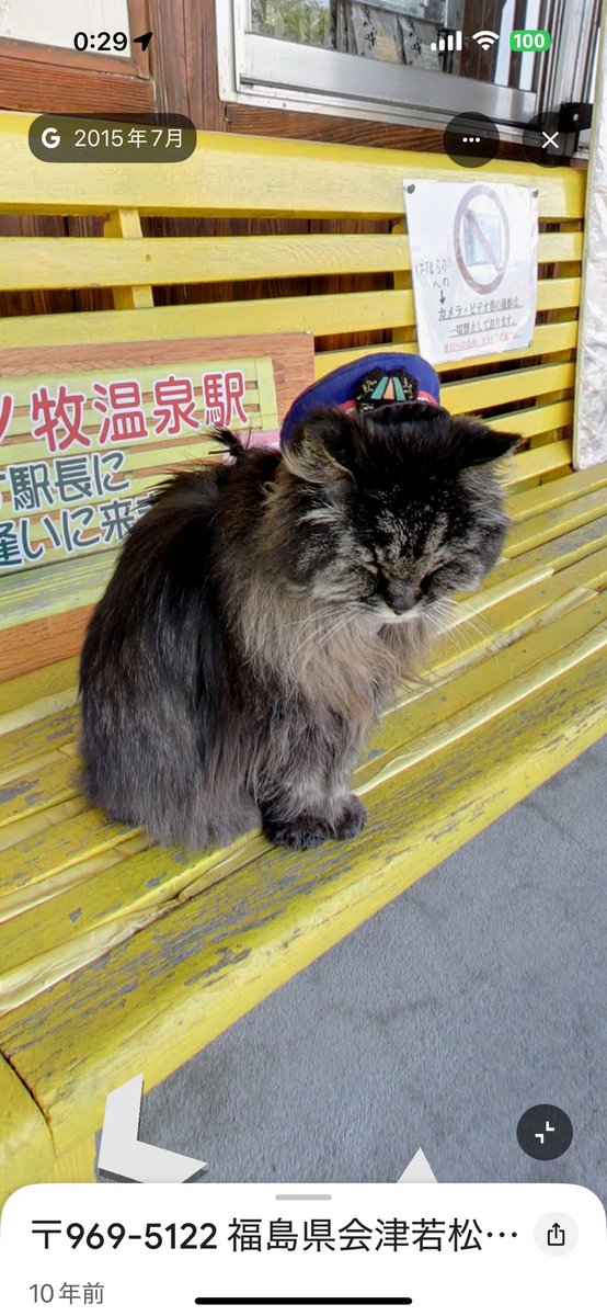 シンちょこ(24.11.14〜) tweet media