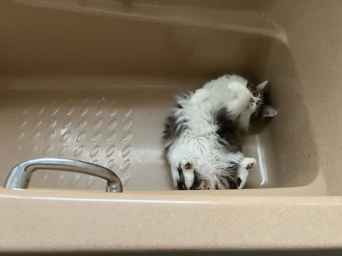浴槽の中のニョニョ🛁 にょーにょにょーにょにょにょ♪