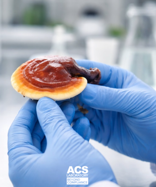 ACS Laboratory tweet media