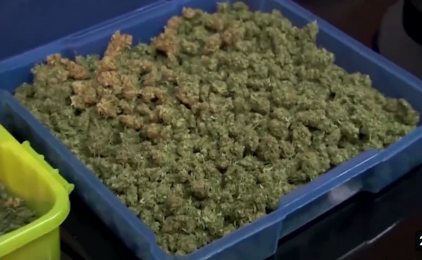 Think Harder tweet media