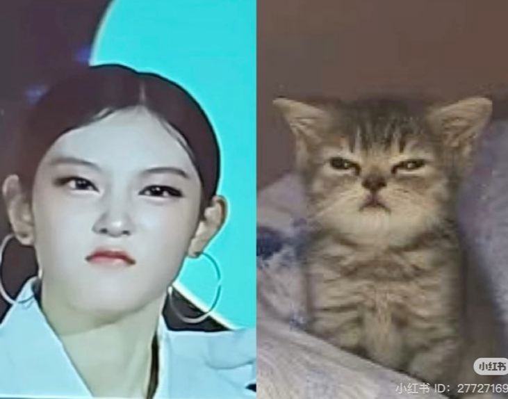 Laniluvm tweet media