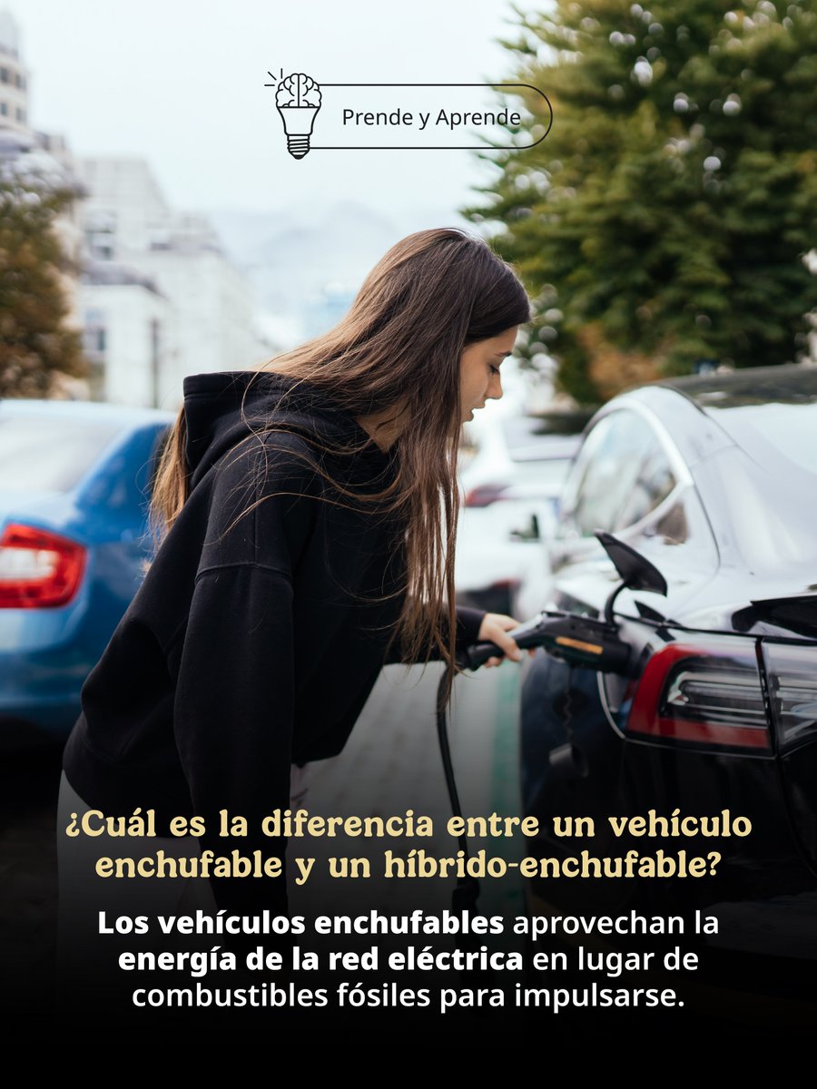 SENER México tweet media