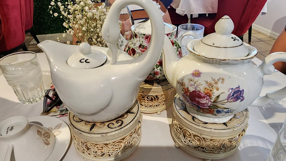 Kat Mackay 🐚 Voice Actress tweet media