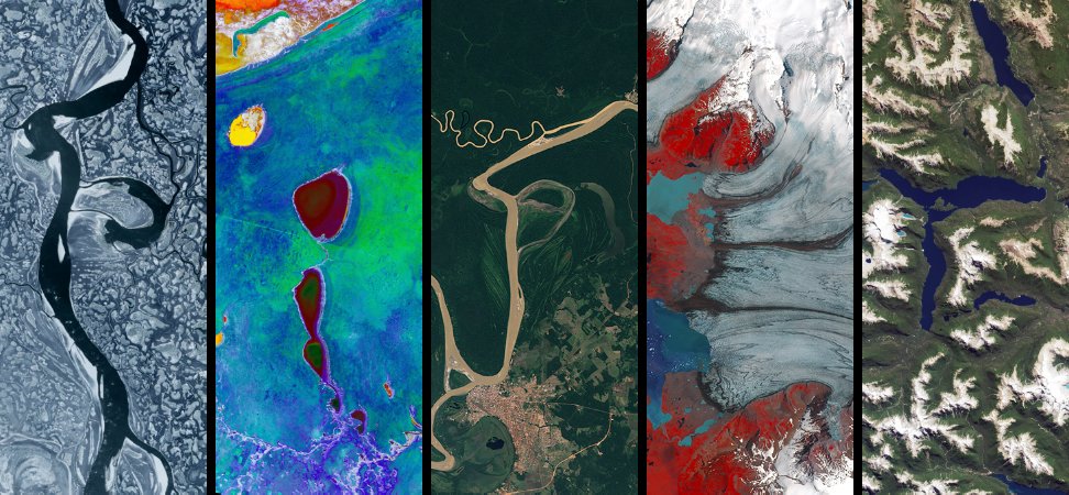 Piper (they/them) 💖🐶🎀 tweet media