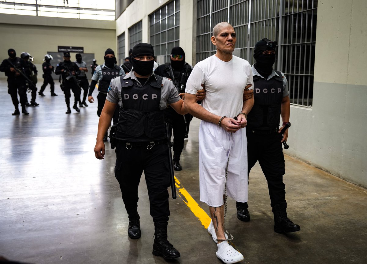 Nayib Bukele tweet media