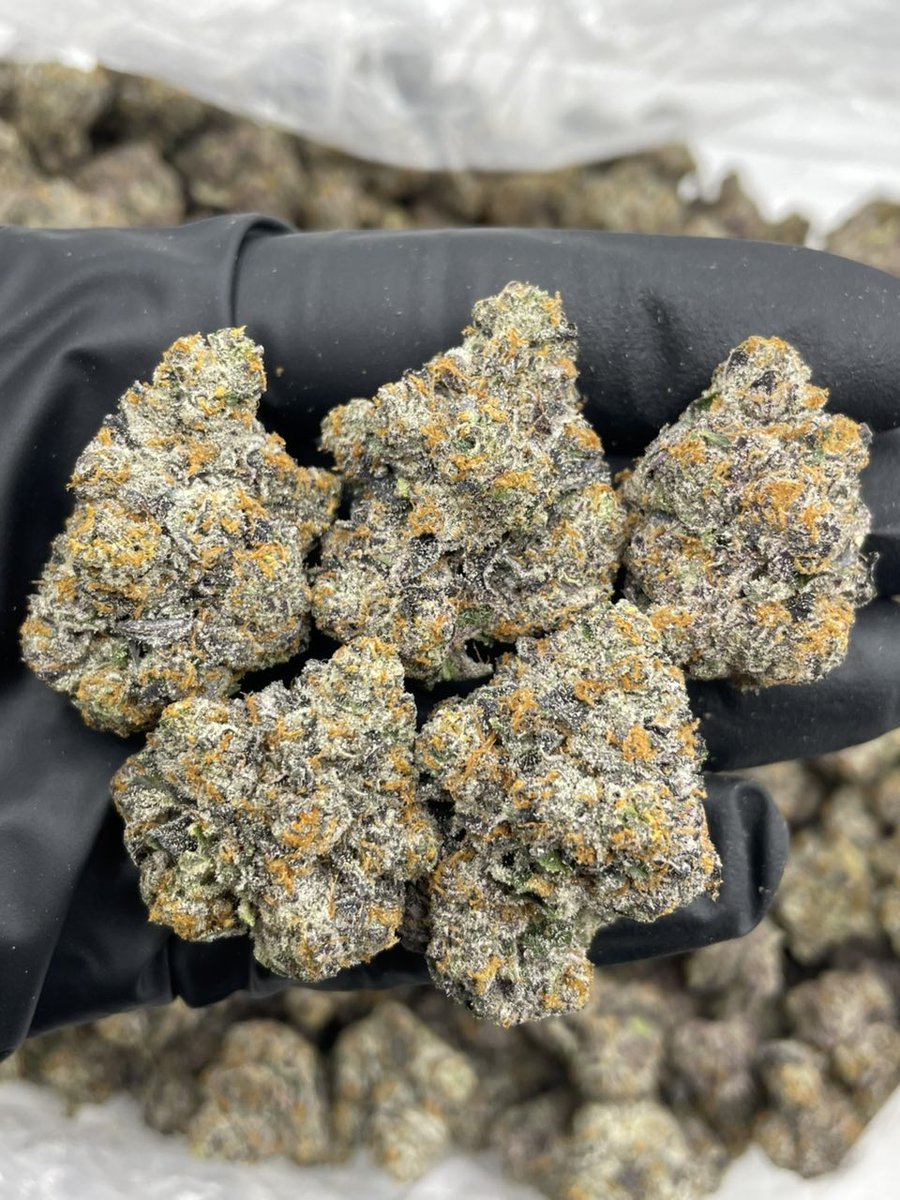 og_smoka's tweet image. Rainbow Rootbeer Float indoors 🌈🍨🍻 Colorful bag with orange hairs and a dense and frosty cure! Bomb nose that smells like rainbow belts crossed with bacio gelato!
📦 P📦$📍📲 Bulk #420Community
#420Friendly
#CannabisCommunity
#StonerFam
#Mmemberville