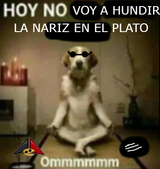 Frases de Javier Pinola tweet media