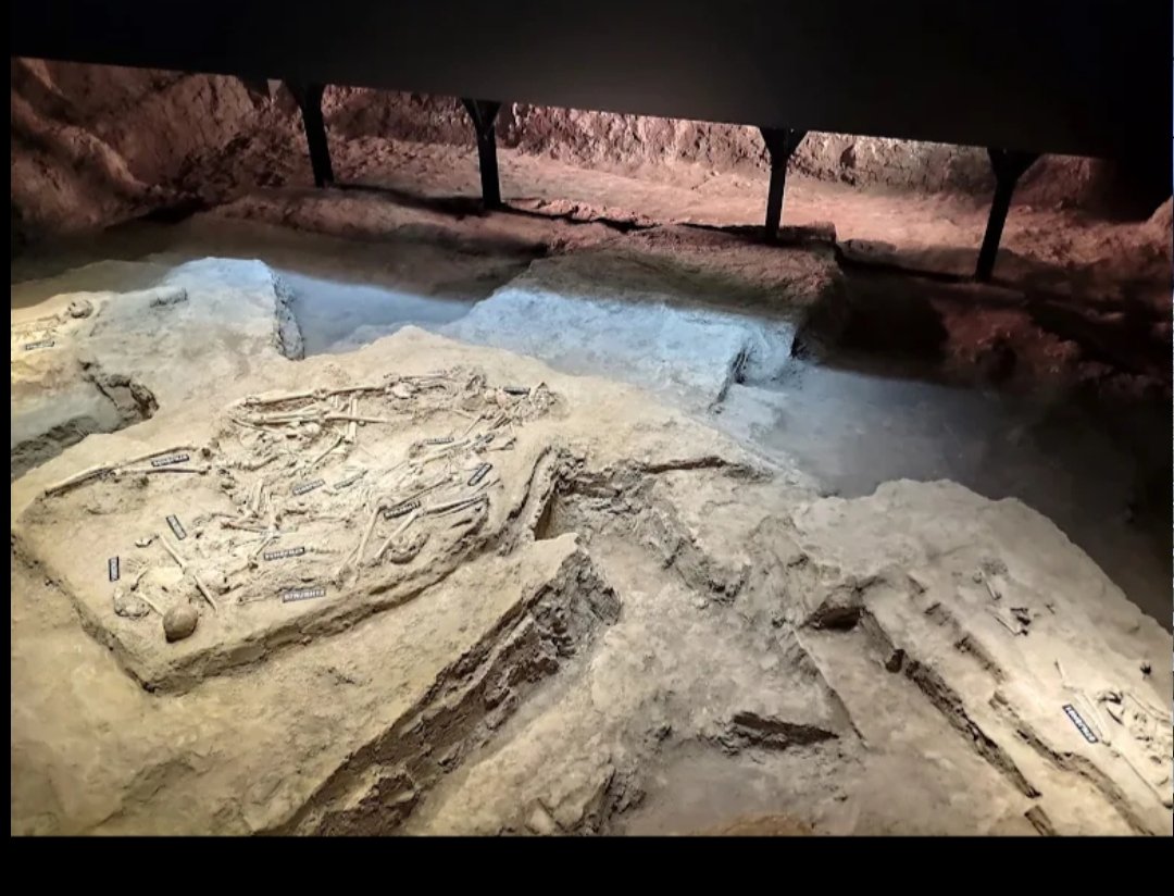 Mack Ramseyer , not the Prof. at Harvard Univ. tweet media