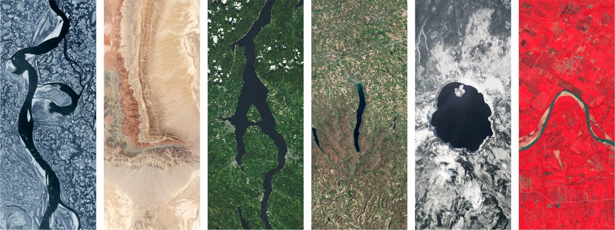 PLAION Americas😎 tweet media