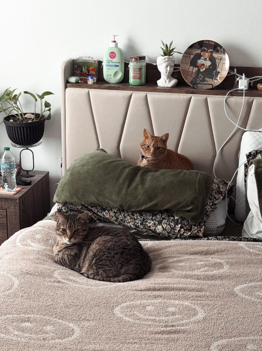 bad ghrl bri bri tweet media