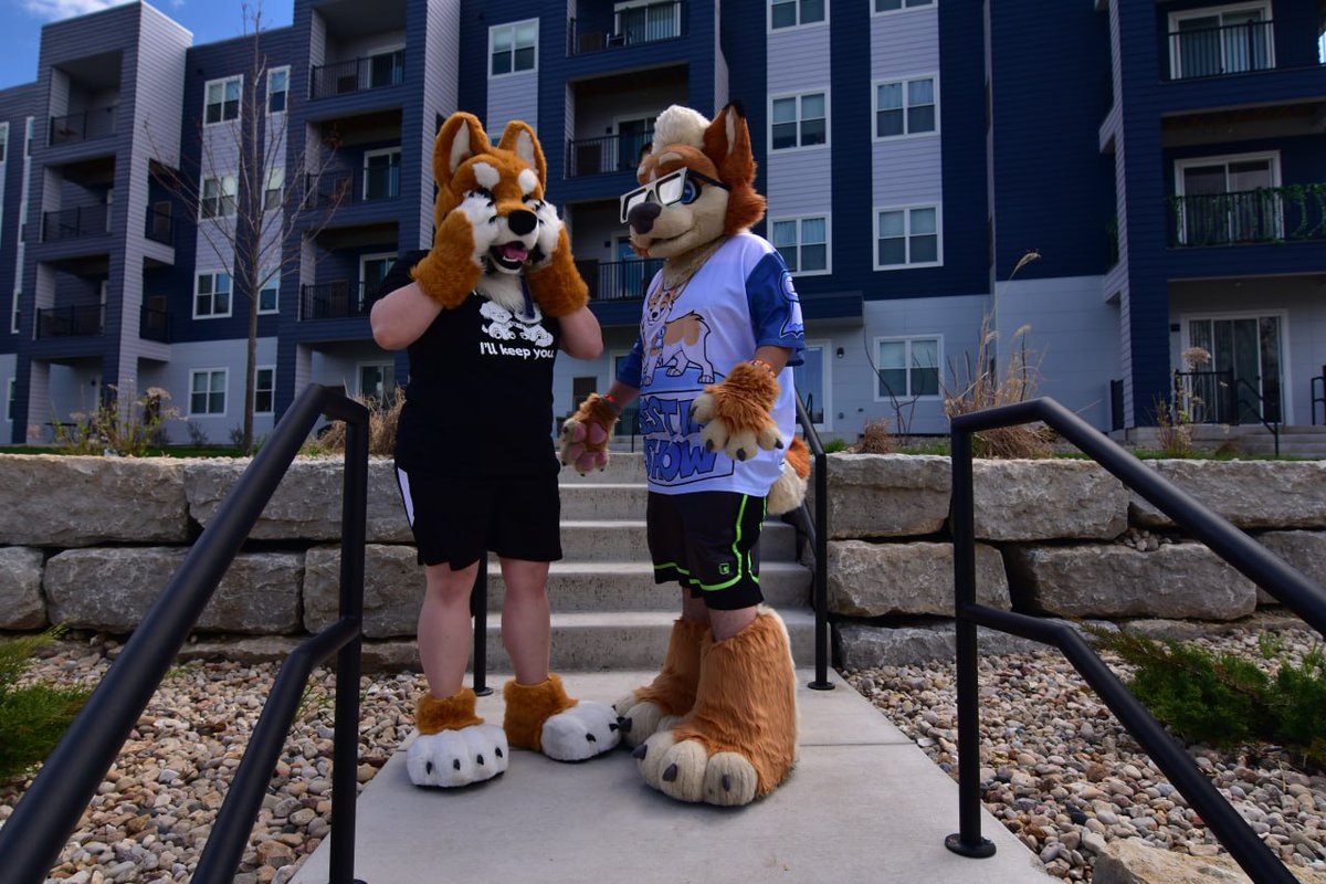 Allen the Corgi🔜Home,Tennessee,? tweet media