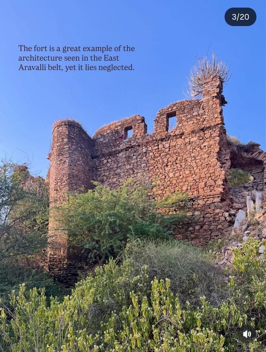 MEENA OF INDIA🇮🇳 tweet media