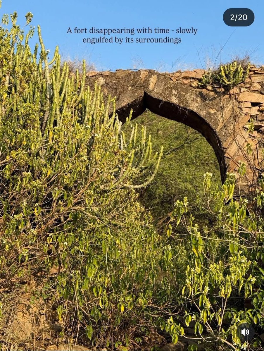 MEENA OF INDIA🇮🇳 tweet media