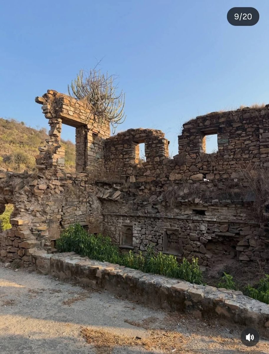 MEENA OF INDIA🇮🇳 tweet media