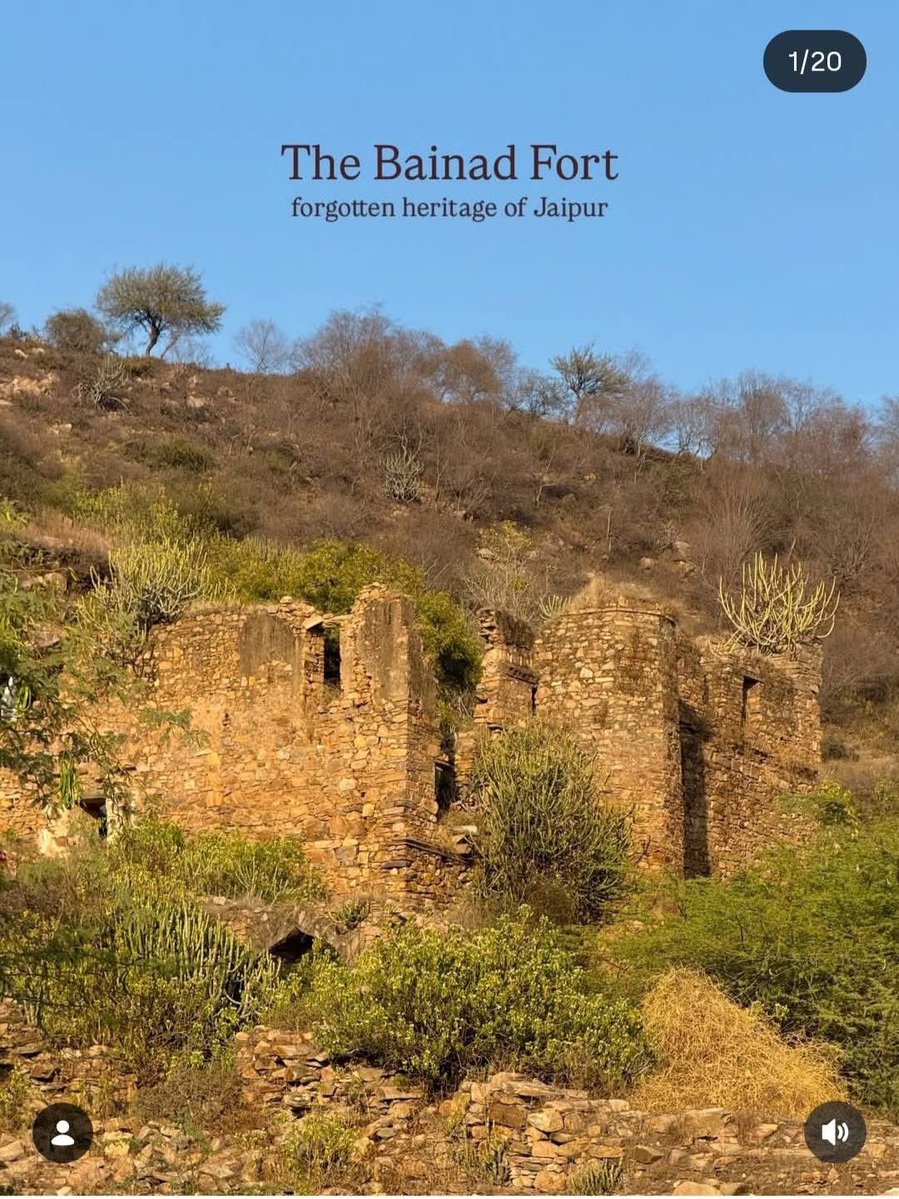 MEENA OF INDIA🇮🇳 tweet media