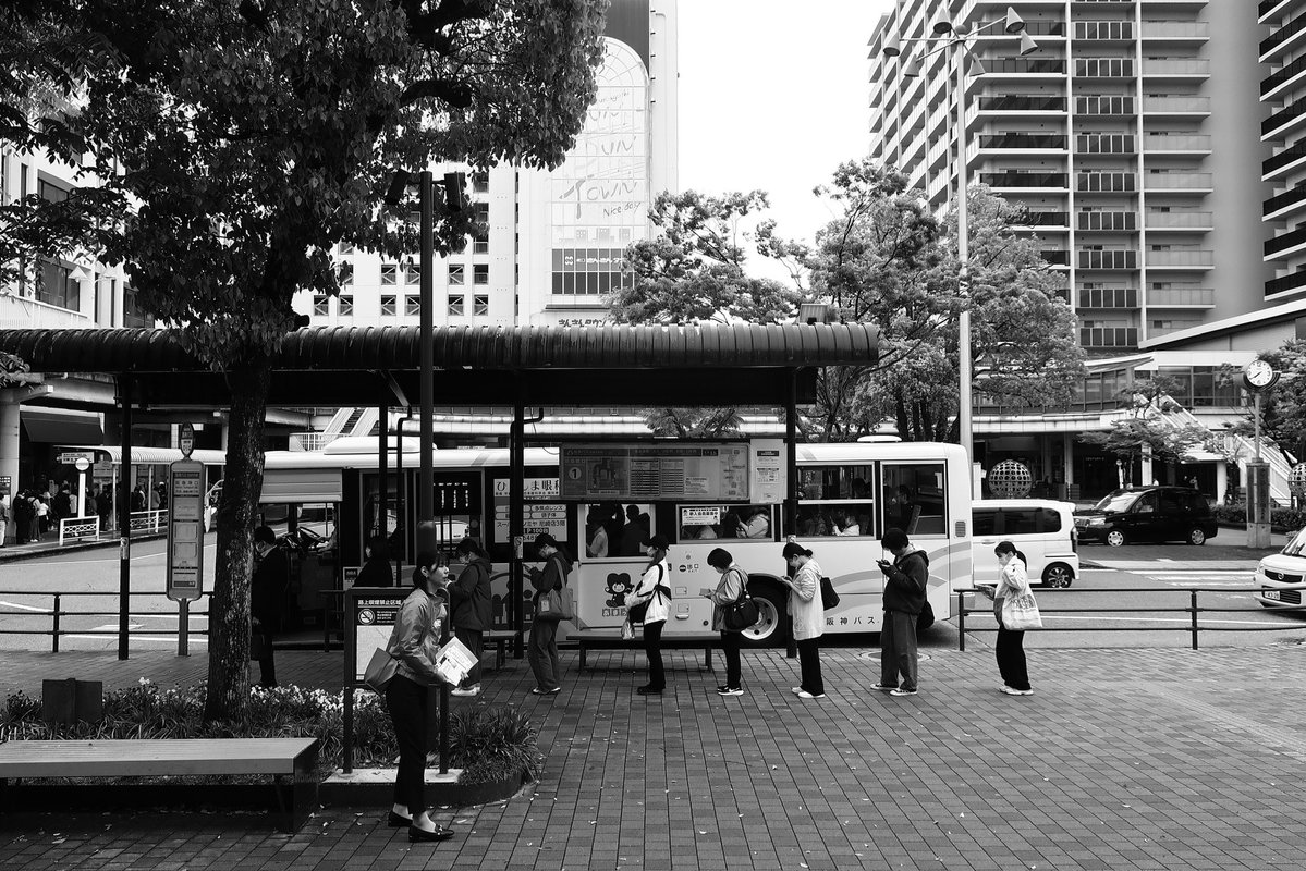 tochi_kupipi's tweet image. #record
#monochrome
#photography

（G5Xメンテナンス中によりG9Xで撮影）